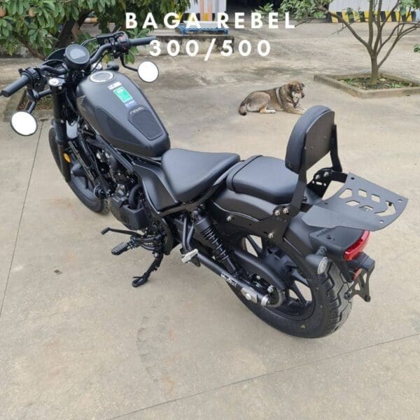 Baga rebel300500 5