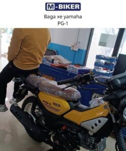 Baga sau Yamaha pg1 10