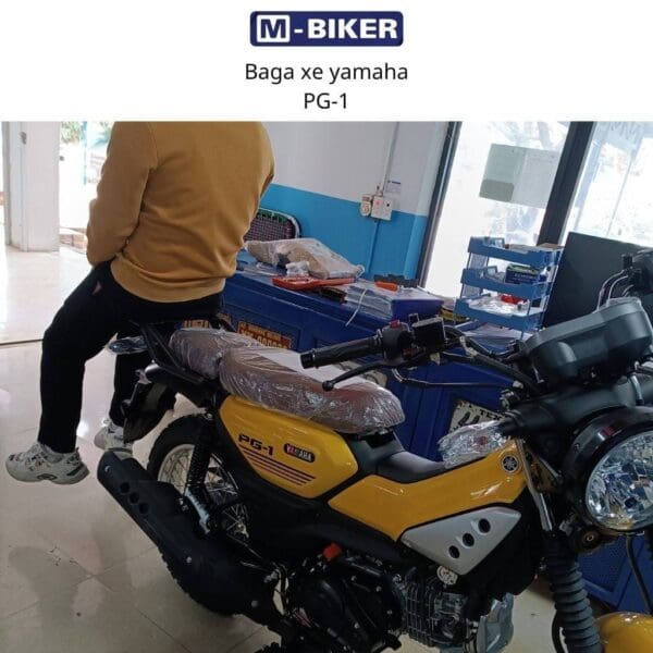 Baga sau Yamaha pg1 10