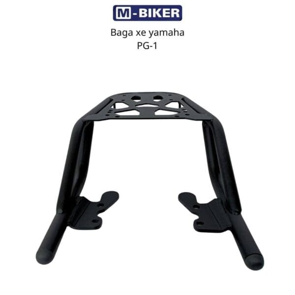 Baga sau Yamaha pg1 13