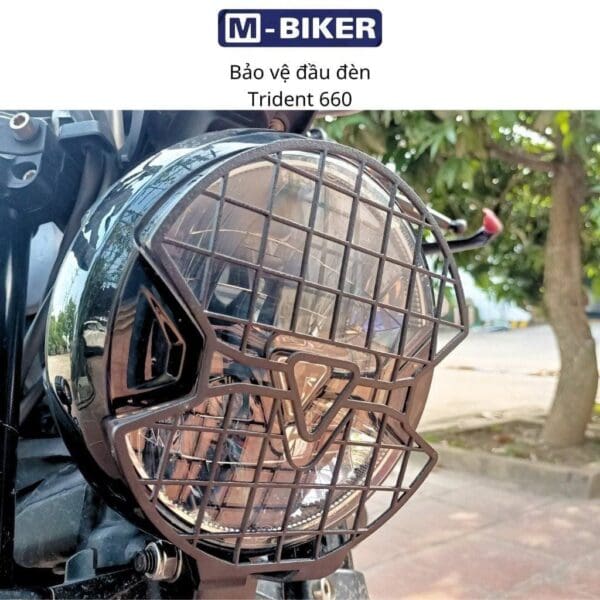 Bao ve dau den TriumphTrident 660 6