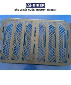 Bao ve ket nuoc triumph trident 660 5