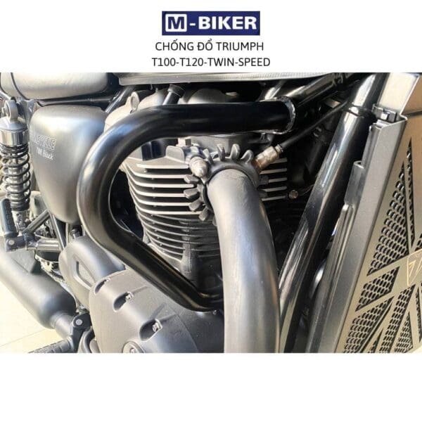 Chong do triumph 2