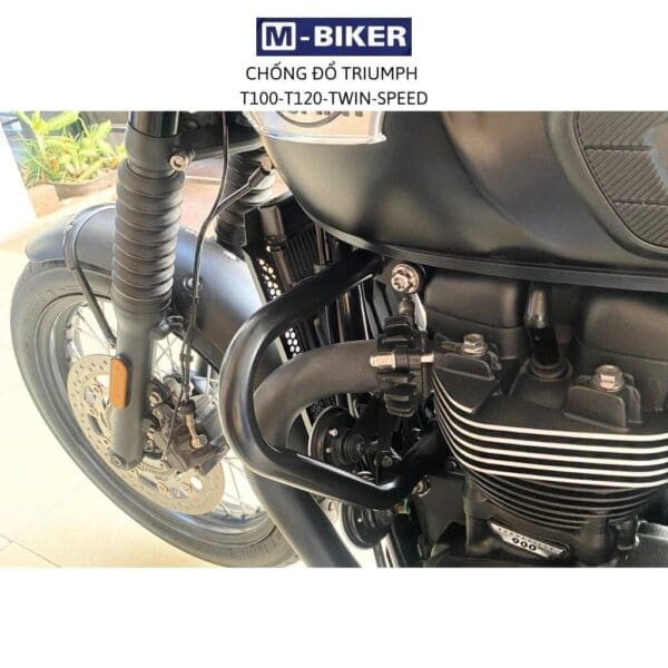 Chong do triumph 8