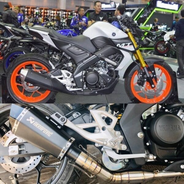 Co po 2 khuc mt15 12