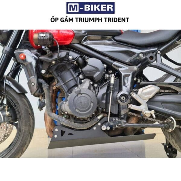 Op bao ve gam xe Triumph Trident 660 3