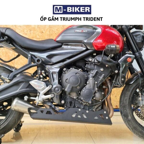 Op bao ve gam xe Triumph Trident 660 5