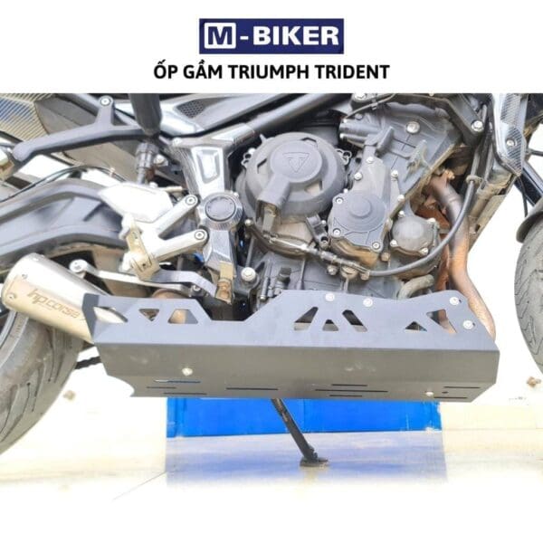 Op bao ve gam xe Triumph Trident 660 8