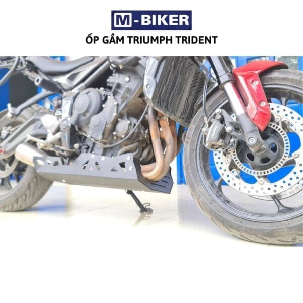 Op bao ve gam xe Triumph Trident 660 9