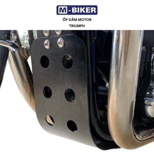 Ốp Gầm xe Triumph - Hình ảnh 7