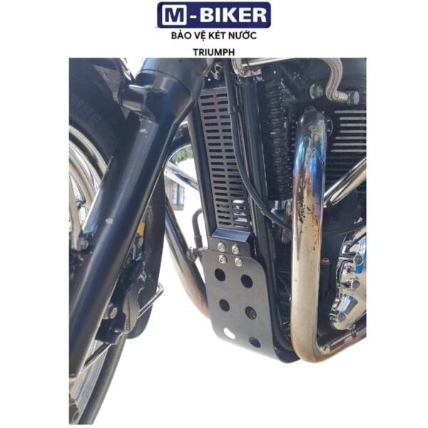 z3857006530881 93956640cc8564621407c209f2f7f504
