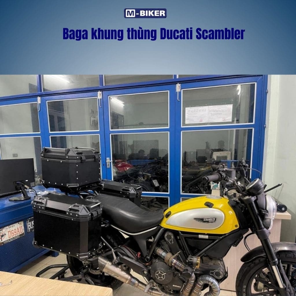 baga ducati scambler (4)