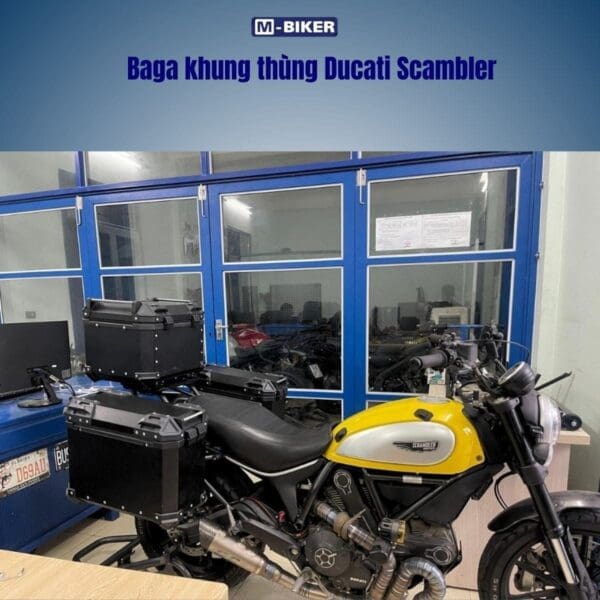 baga ducati scambler (4)
