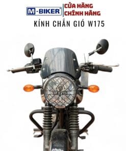 kính chắn gió w175