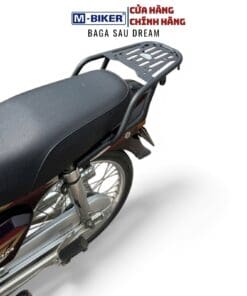baga dream (1)