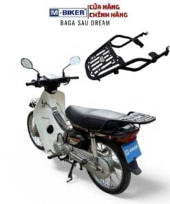 baga dream (13)