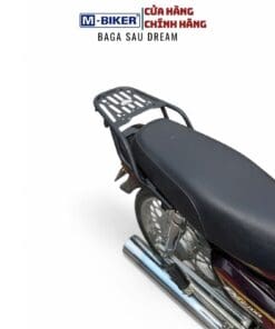 baga dream (8)