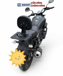 baga sau tấm xsr gắn thùng, tựa lưng (4)