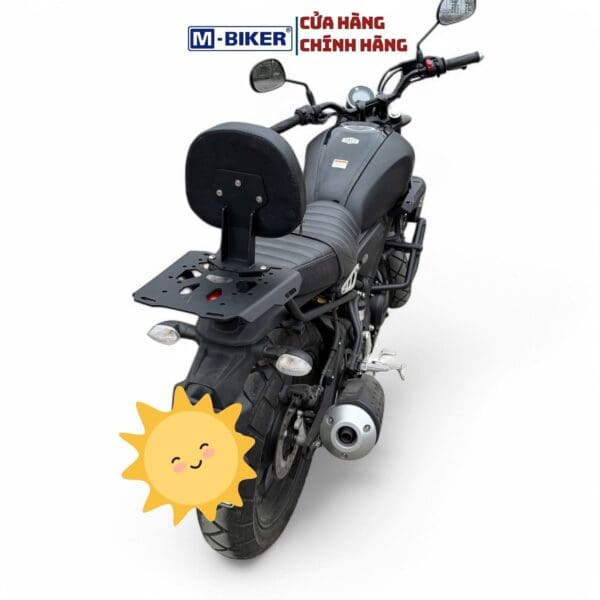 baga sau tấm xsr gắn thùng, tựa lưng (4)