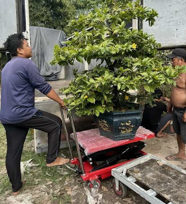 alt=ứng dụng bàn nâng xe máy trong garage