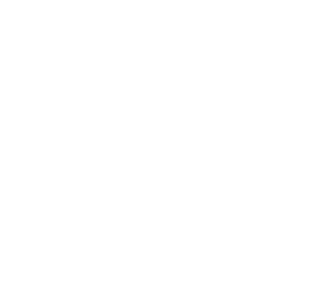 section 2 bg 1.png