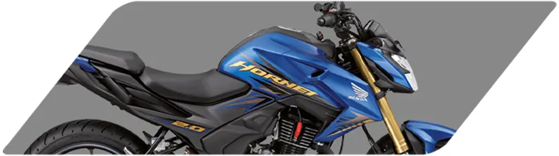 Tổng thể Honda Hornet 2.0 thể hiện sự mạnh mẽ và phong cách
