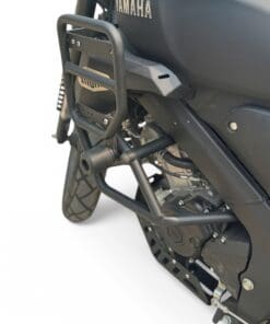 xsr (7) Photoroom