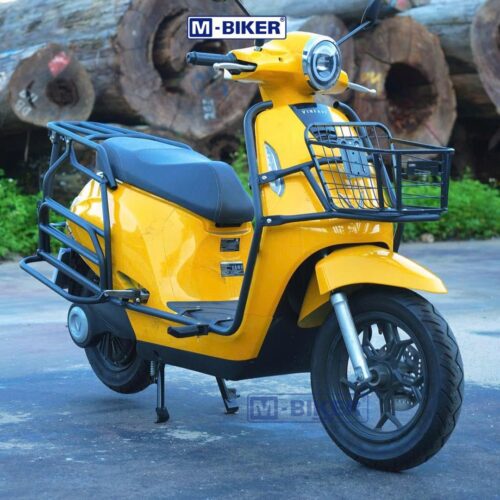 Full Khung Chở Đồ VinFast Evo200 Baga Chở Hàng Mbiker