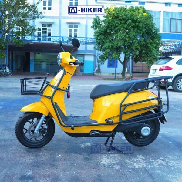 Full Khung Chở Đồ VinFast Evo200 Baga Chở Hàng Mbiker - Ảnh 9