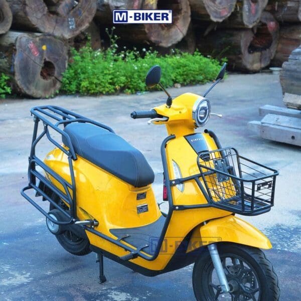 Full Khung Chở Đồ VinFast Evo200 Baga Chở Hàng Mbiker - Ảnh 5