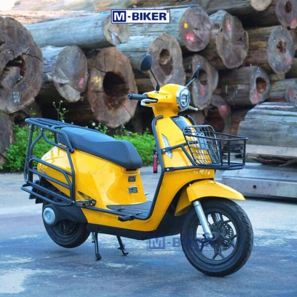 Full Khung Chở Đồ VinFast Evo200 Baga Chở Hàng Mbiker - Ảnh 3